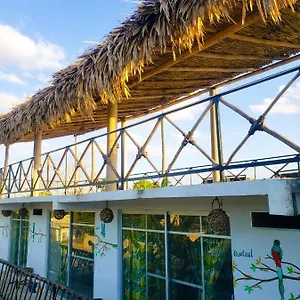  Apartahotel La Casa De Aves México