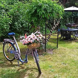 Retro & Garden Краков